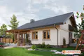 Проект коттеджа Нита Карбо - техническая спецификация зеркальной версии